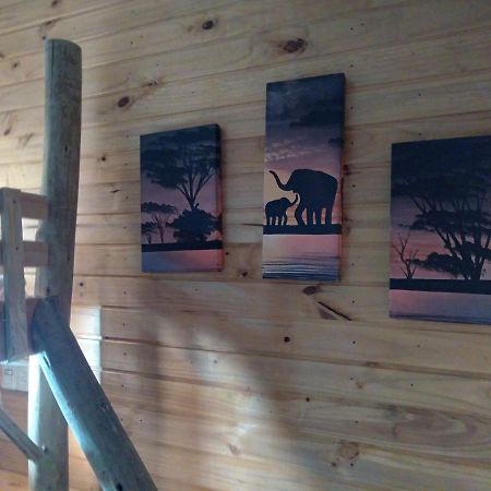 Hostel Cape Town - Cambará Exteriér fotografie